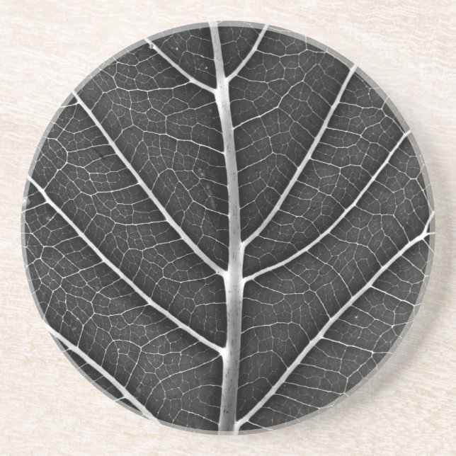 Black and white glowing leaf close-up coaster (Front)