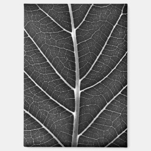 Black and white glowing leaf close-up magnet