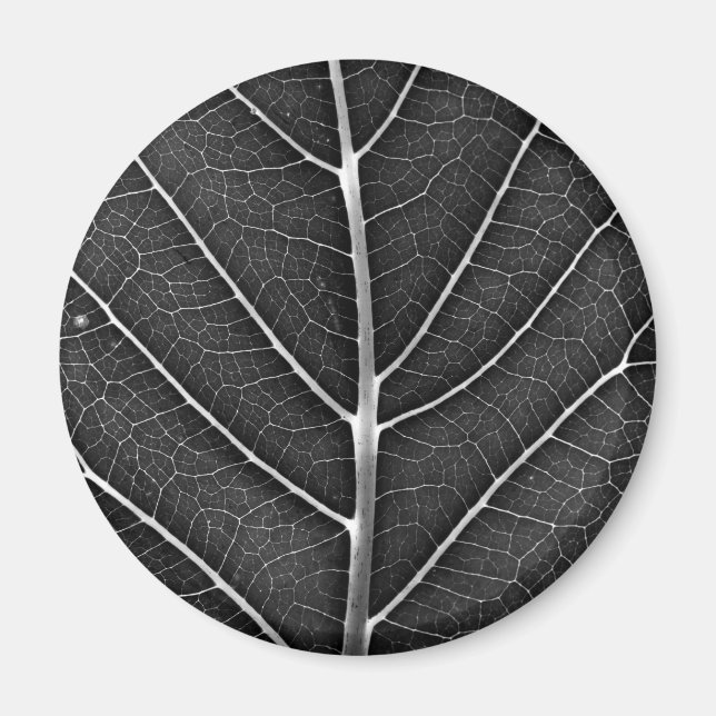 Black and white glowing leaf close-up magnet (Front)
