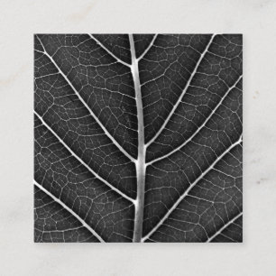 Black and white glowing leaf close-up square business card