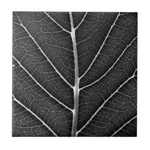 Black and white glowing leaf close-up tile