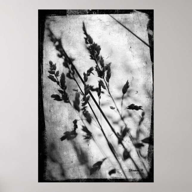 Black and White Grass Poster (Front)