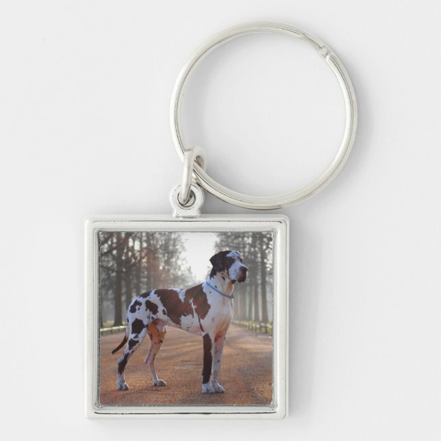 Black and White Great Dane Keychain (Front)