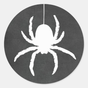 Black and White Halloween Spider Scary Chalkboard Classic Round Sticker