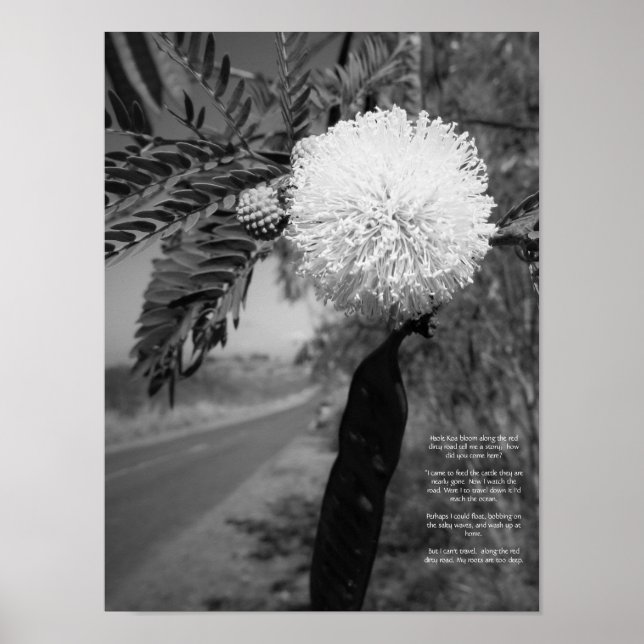 Black And White Hawaiian Flower Poem Poster (Front)