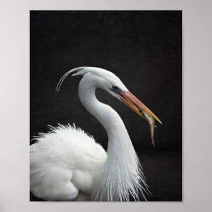 Black and White Heron Tropical Printable Art  Poster