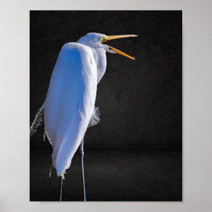 Black and White Heron Tropical Printable Art Poster
