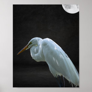Black and White Heron Tropical Printable Art Poster