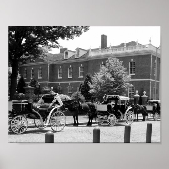 Black And White Horse And Carriage Photo Poster