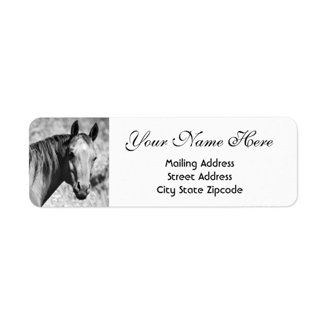 Black and White Horse Return Address Label (Front)