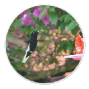 Black and White hummingbird flying at a feeder Ceramic Knob