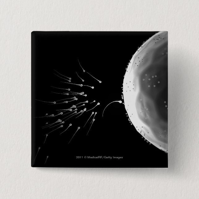 Black and white illustration of fertilization 2 inch square button (Front)