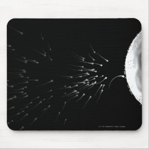 Black and white illustration of fertilization mouse pad