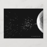 Black and white illustration of fertilization