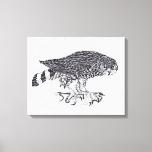 Black and white illustration of Sparrow Hawk Canvas Print