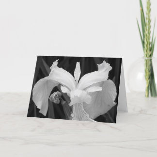 Black and White Iris Card