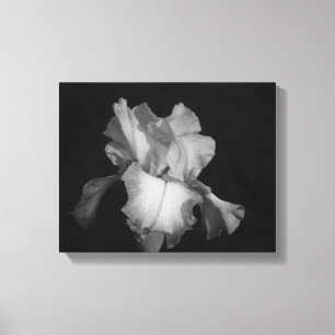 Black and White Iris Monochrome Floral Photo Canvas Print