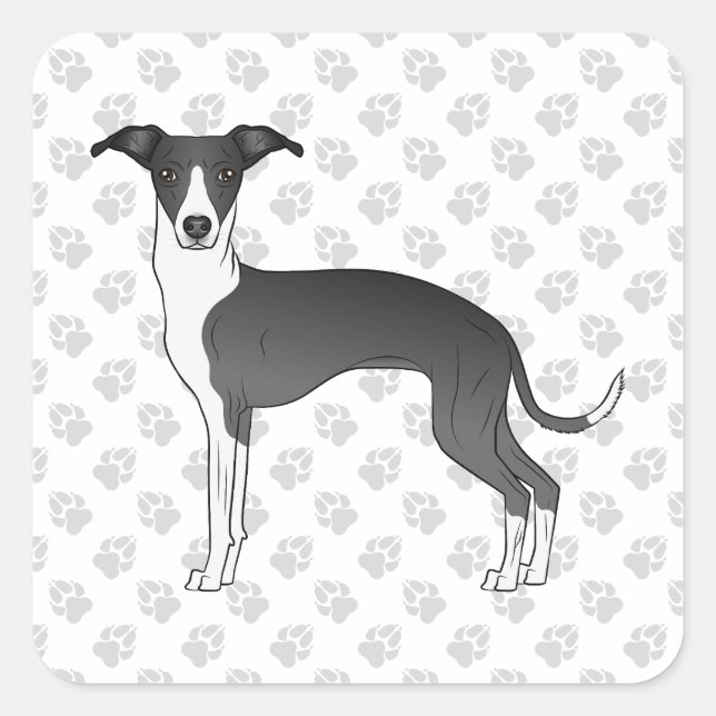Black And White Italian Greyhound With Paws Square Sticker (Front)