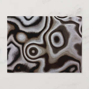 Black and white Jasper stone Postcard