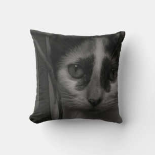 Black and White - Kitten 02 Throw Pillow
