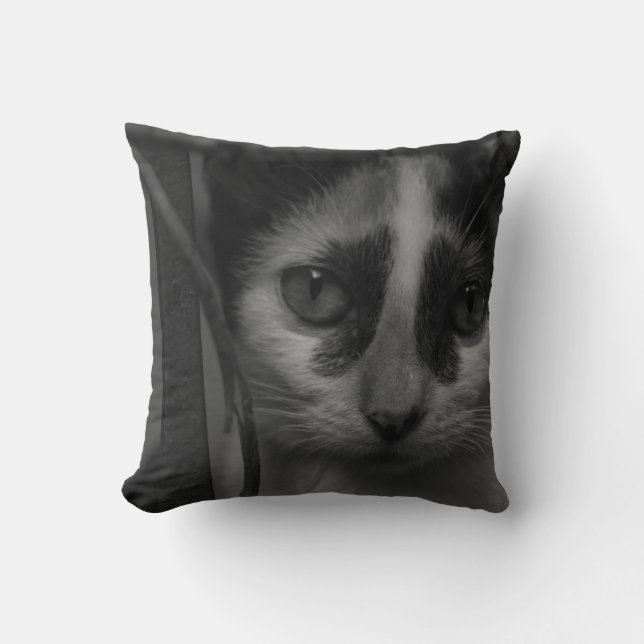 Black and White - Kitten 02 Throw Pillow (Front)