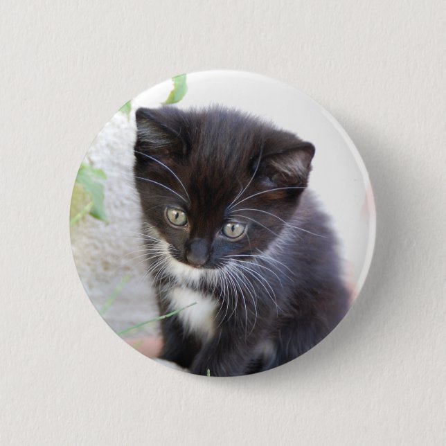Black and White Kitten 2 Inch Round Button (Front)