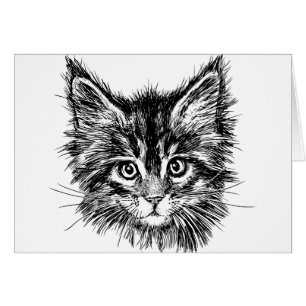 Black and White Kitten Face Blank Inside