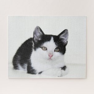 Black and White Kitten Jigsaw Puzzle