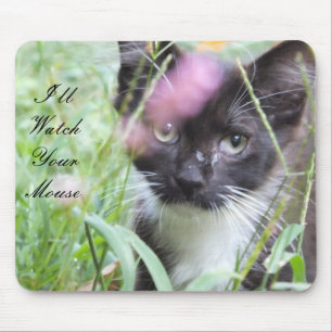 Black And White Kitten Mouse Pad