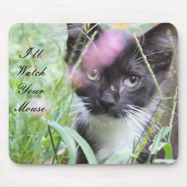Black And White Kitten Mouse Pad (Front)