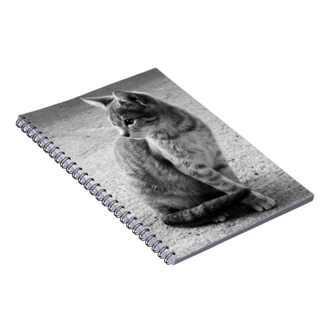 Black and White Kitten Notebook (Right Side)