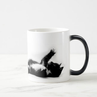 Black and white kitten on colour changing mug