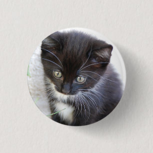 Black and White Kitten Photo 1 Inch Round Button