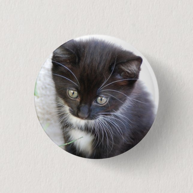 Black and White Kitten Photo 1 Inch Round Button (Front)