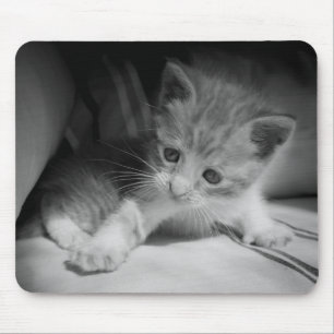Black and White Kitten Photograph Mouse Pad