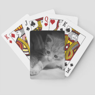 Black and White Kitten Photograph Playing Cards