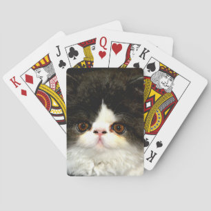 Black and White Kitten Playing Cards