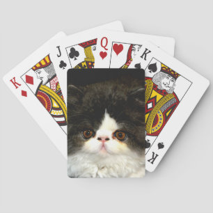 Black and White Kitten Playing Cards