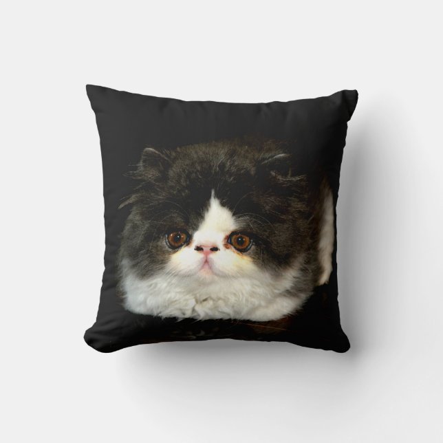 Black and white kitten throw pillow (Front)