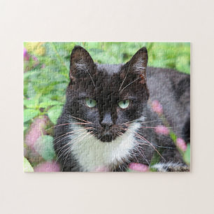 Black and white kitty in the garden jigsaw puzzle