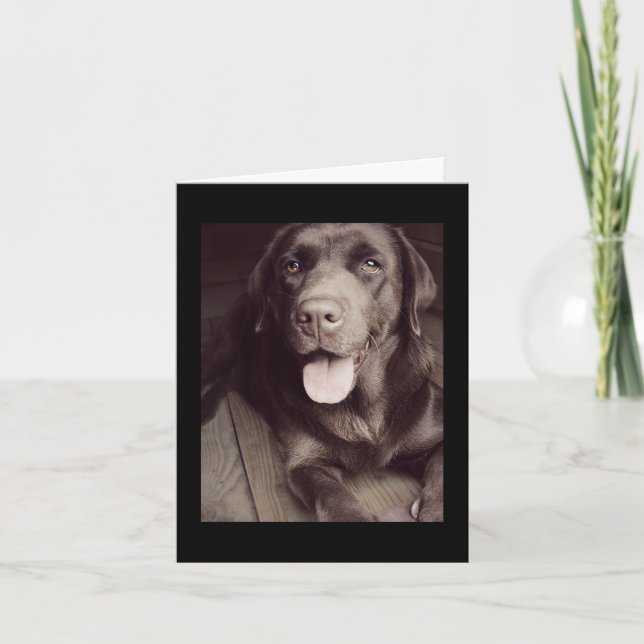 Black And White Labrador Retriever Dog Note Card (Front)