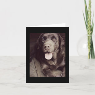 Black And White Labrador Retriever Dog Note Card