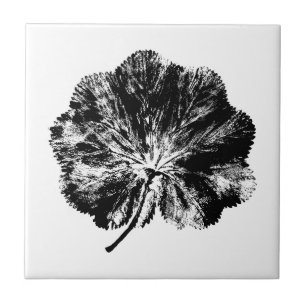 Black and White Lady's Mantle Leaf Print Tile