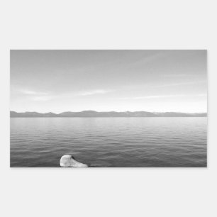 Black And White Landscape 11 Sticker