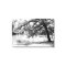 Black and White Landscape Canvas Print