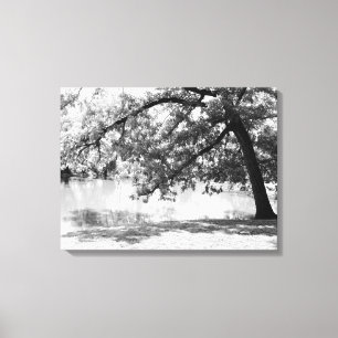Black and White Landscape Canvas Print