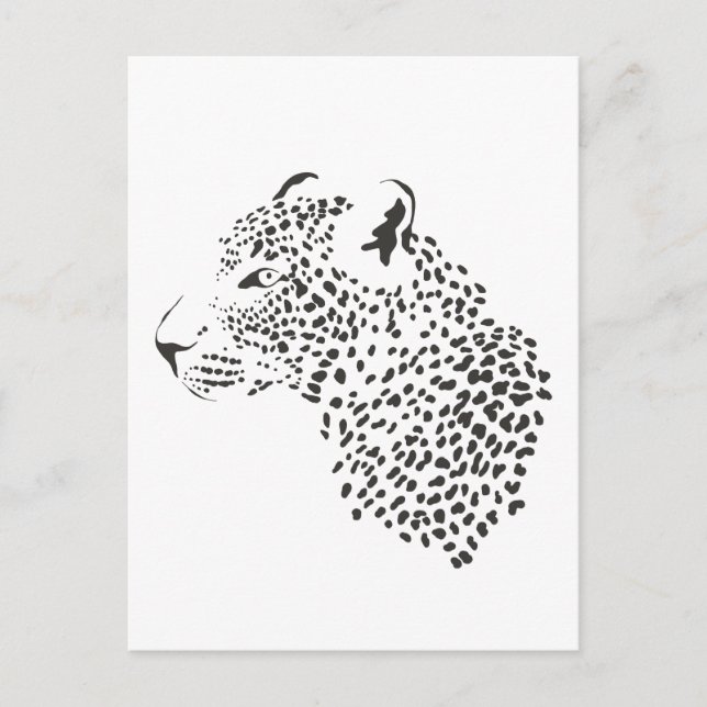 Black And White Leopard Postcard (Front)