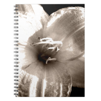 Black and White Lily Photograph Notebook
