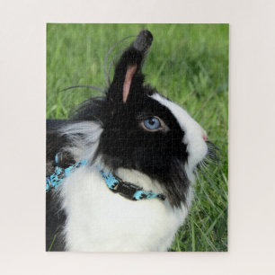 Black and White Lionhead Bunny Rabbit Jigsaw Puzzle