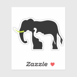 Black and White Lions